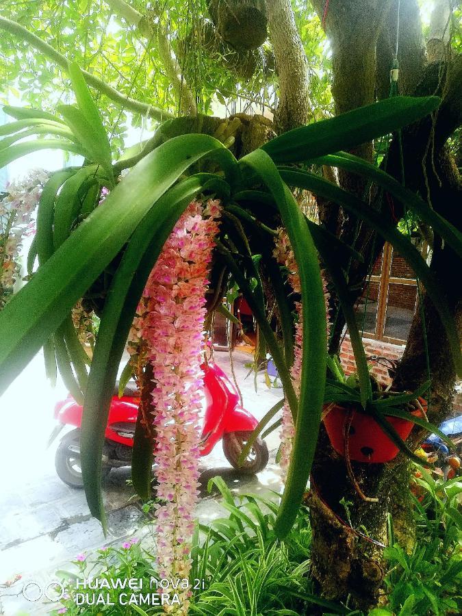 Tamcoc Mr. Cau Homestay Ninh Binh Exteriér fotografie